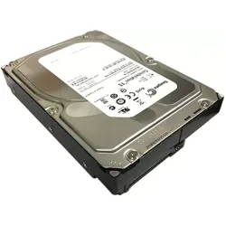 Seagate 2TB 7200 RPM SAS 6Gbps 3.5 Inch Hard Drive 9JX248-175