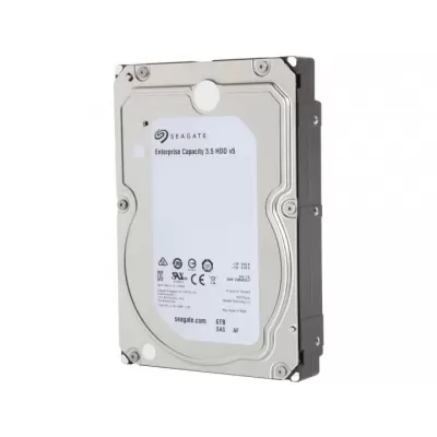 Seagate 6TB 195Mbps 7200 RPM 3.5 Inch Hard Disk 1ZH110-500