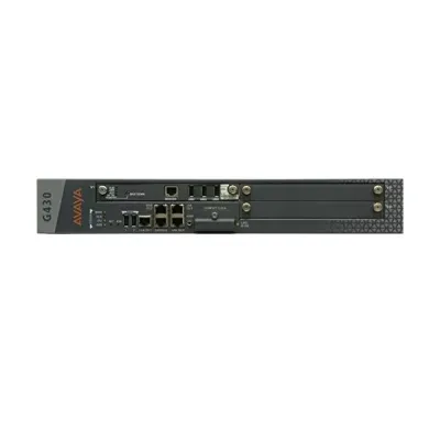 Avaya G430 Media Gateway 700476393 server card