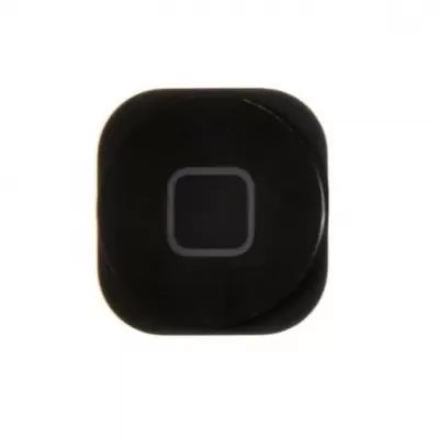 Apple iPod Home Button