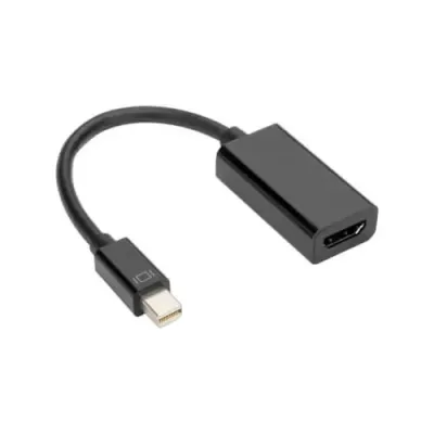 Mini DisplayPort to Big DidslayPort Black Converter