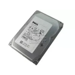 Dell 300GB 15K RPM 3Gbps 3.5 Inch SAS hard disk H704F