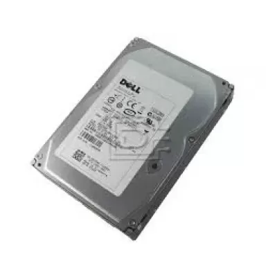 Dell 300GB 15K RPM 3Gbps 3.5 Inch SAS hard disk H704F