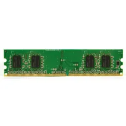 Dynet 256MB DDR2 Server Ram DNHM5U256C8FE-A5