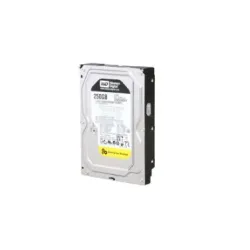 Western Digtal RE4 250 GB Desktop, Surveillance Systems, Network Attached Storage, Servers, All in One PC's Internal Hard Disk Drive (HDD) (WD2503ABYX) (Interface: SATA, Form Factor: 3.5 inch)