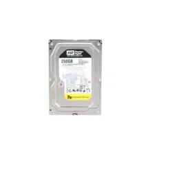 Western Digtal RE4 250 GB Desktop, Surveillance Systems, Network Attached Storage, Servers, All in One PC's Internal Hard Disk Drive (HDD) (WD2503ABYX) (Interface: SATA, Form Factor: 3.5 inch)