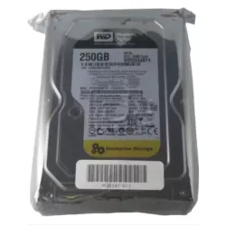 Western Digtal RE4 250 GB Desktop, Surveillance Systems, Network Attached Storage, Servers, All in One PC's Internal Hard Disk Drive (HDD) (WD2503ABYZ) (Interface: SATA, Form Factor: 3.5 inch)