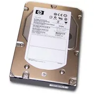 HP 300GB 15K RPM 3.5 Inch 6Gbps SAS Hard Disk 581312-001