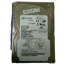 IBM 36.4GB 10K RPM 3.5 Inch SCSI Hard Disk 24P3676