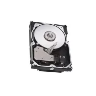 Seagate 300GB 15000RPM SAS 6Gbps 16MB Cache 3.5 Inch Hard Drive 9FL066-165 Seagate 300GB 15000RPM SAS 6Gbps 16MB Cache 3.5 Inch Hard Drive 9FL066-165