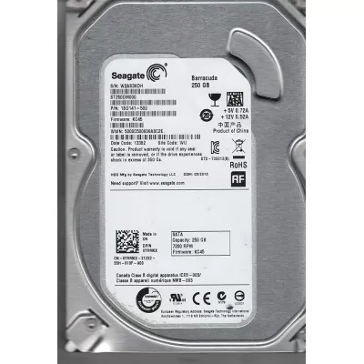 Seagate 250GB 7.2K RPM SATA 6Gbps 3.5 Inch Hard Disk 9YP131-516