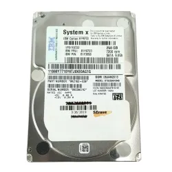 IBM 250GB 7.2K 6G SP 2.5 inch SATA Hard Disk 81Y3850