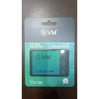 EVM 512GB SSD